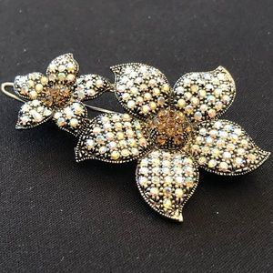 Beautiful Crystal Barrette $49 Display never used!